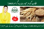 Punjab Wheat Support Program