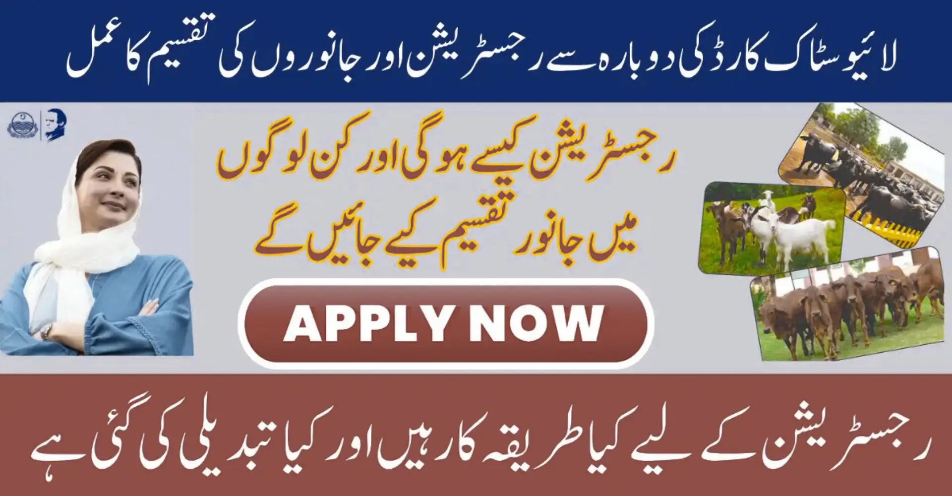 Livestock Distribution Program in 12 Punjab Districts