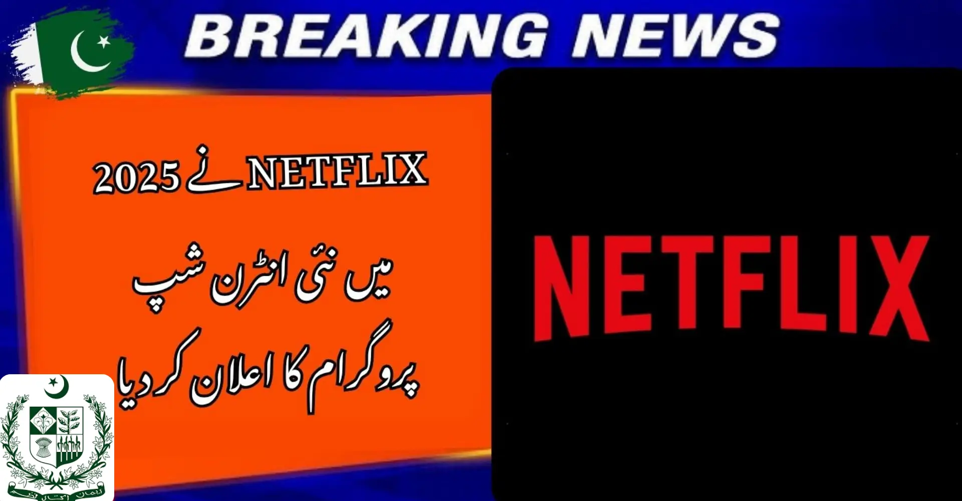 Netflix Internship Program