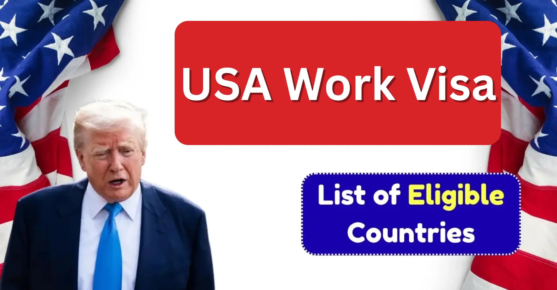 USA Work Visa