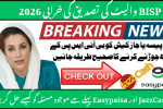 BISP Wallet Verification Error 2026
