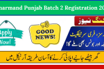Hunarmand Punjab Batch 2 Registration