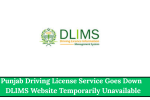 Punjab Driving License Service Goes Down