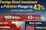 Foreign Direct Investment in Pakistan Falls 43% in First Half of FY26