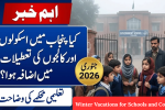 Punjab Officially Extends Winter Vacations for Schools and Colleges