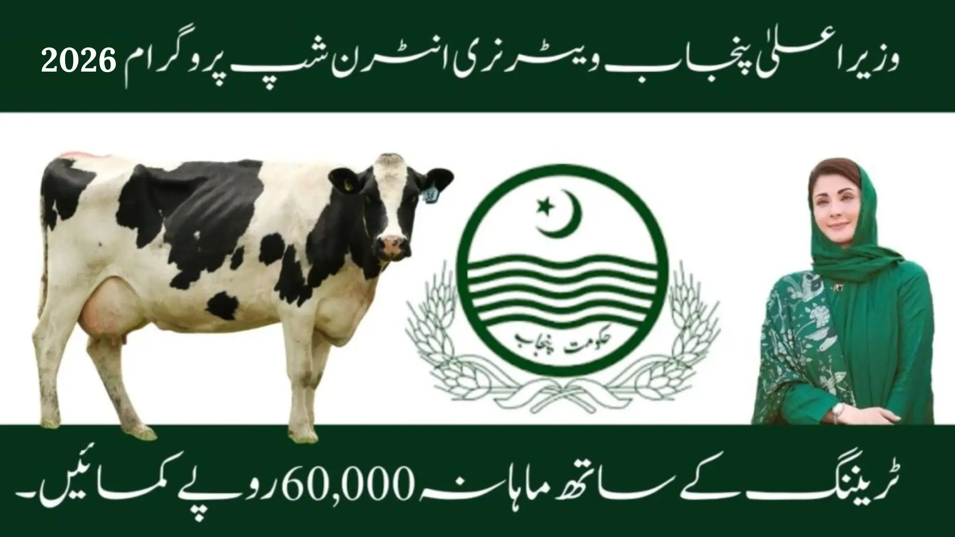 CM Punjab Veterinary Internship Program 2026