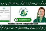 PSER Survey 2026 Punjab