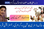 CM Punjab Free Livestock Program 2026